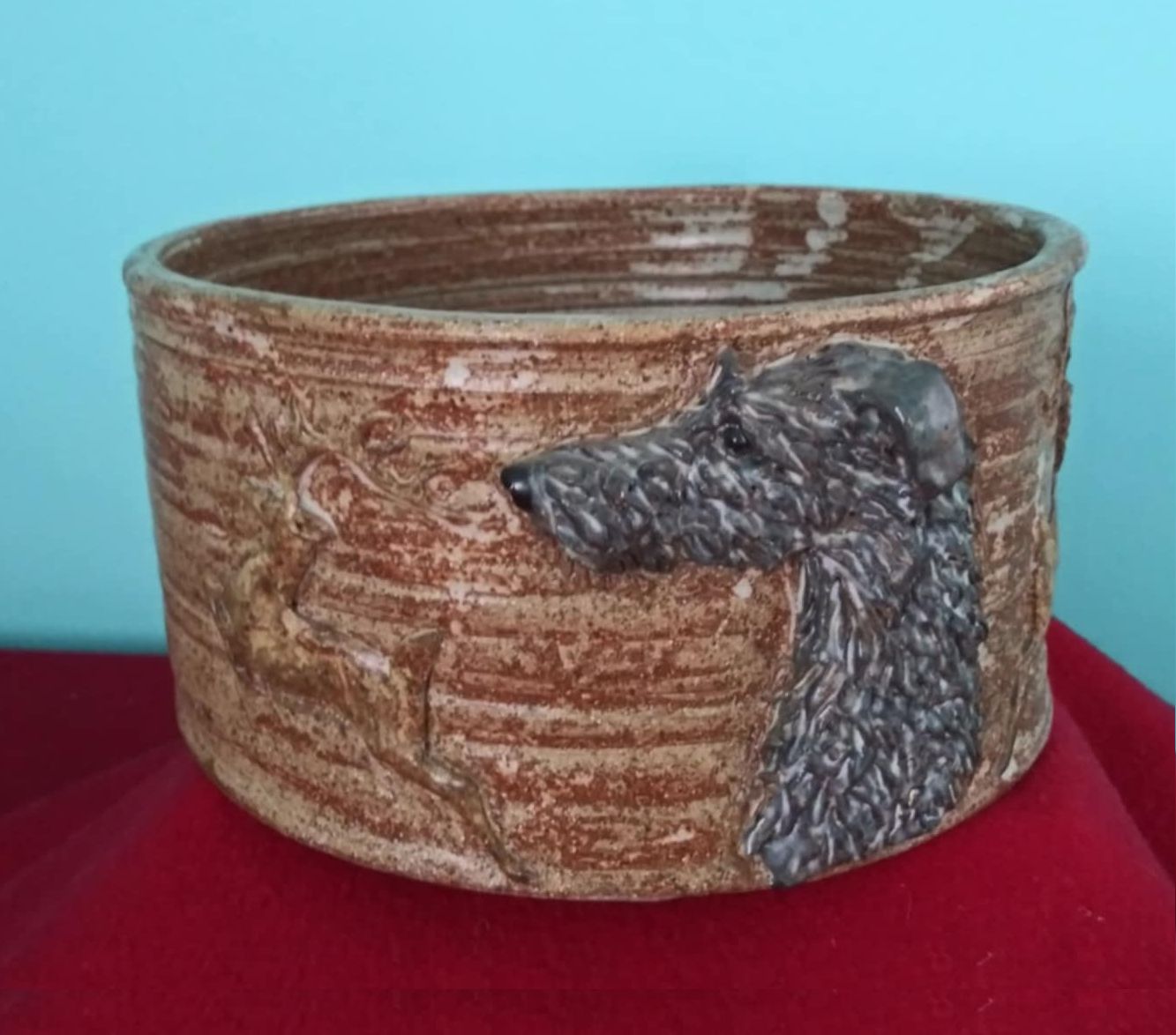 Question of the Week